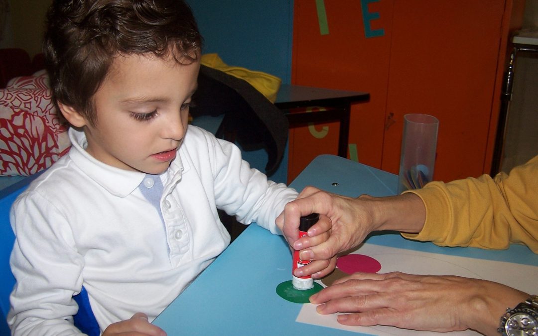 Los centros de educación especial no desaparecerán, se vaciarán. Comunicado de #InclusivaSiEspecialTambien