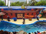 Mundomar Benidorm Ocio accesible