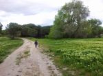 Niño en el campo corriendo. Escapismo