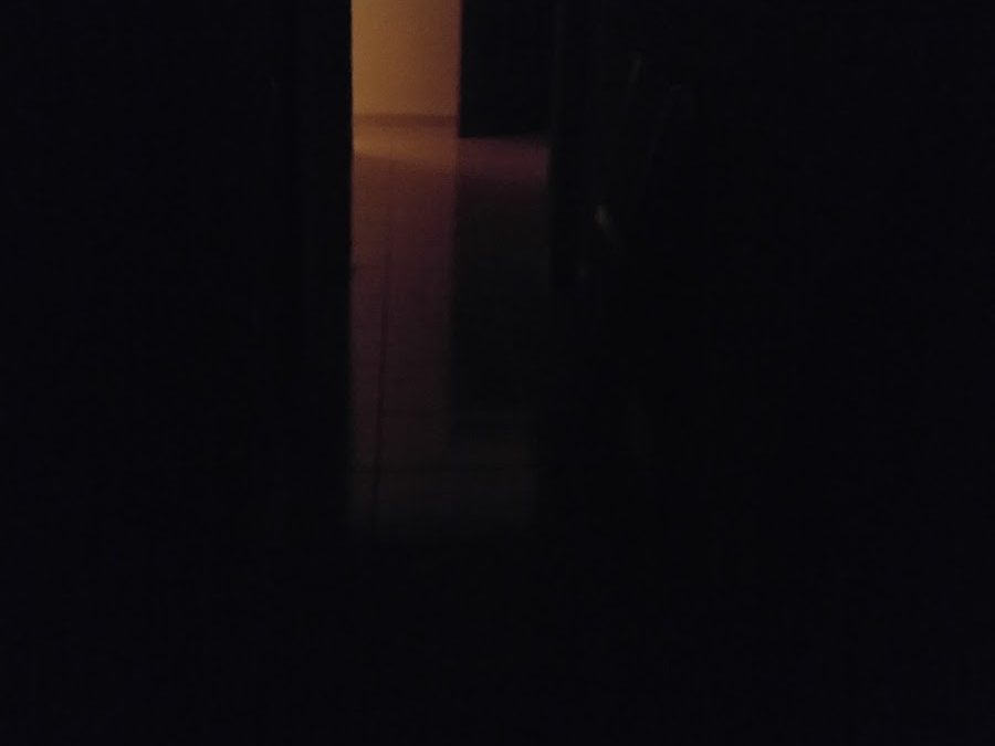 Noches, luces, jirafas y cobertizos.
