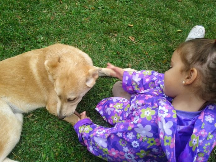 Autismo y perros como mascota: beneficios.