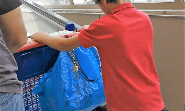 Autismo y supermercados. Empujar el carro como elemento de autonomía y control.