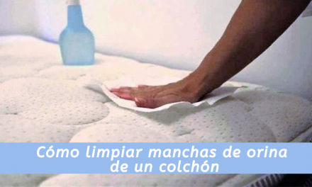 Cómo limpiar manchas de orina de un colchón
